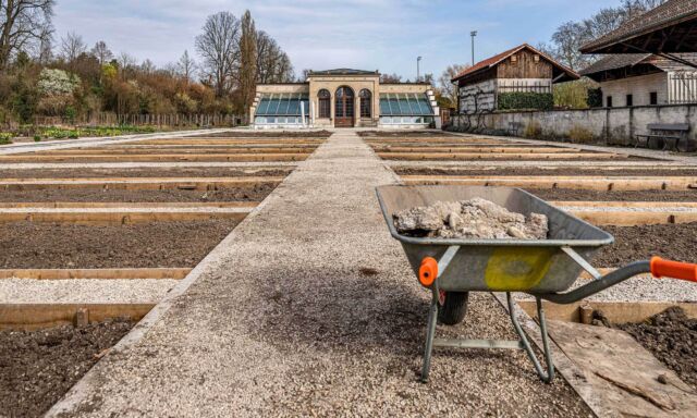  Umbau im Arzneipflanzengarten 