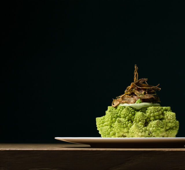  Experimentelle Gastronomie 