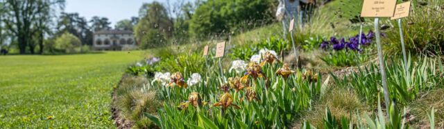 Willkommen in den Merian Gärten