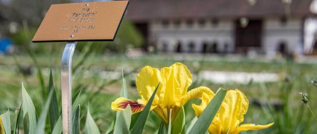 Botanische Sammlungen